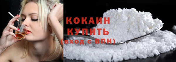 индика Армянск