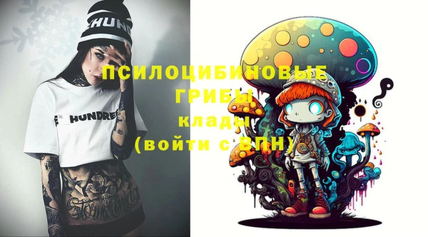 индика Армянск