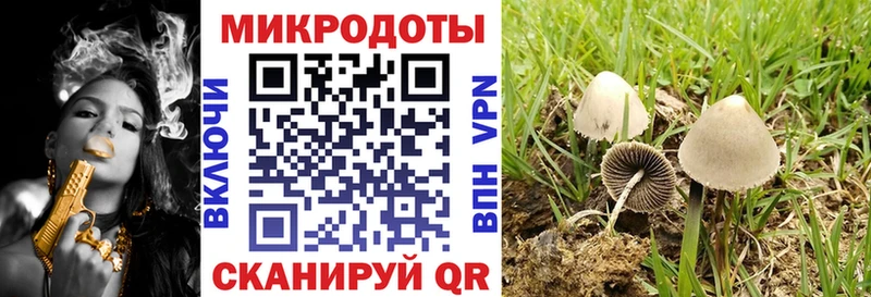 Псилоцибиновые грибы мицелий Радужный